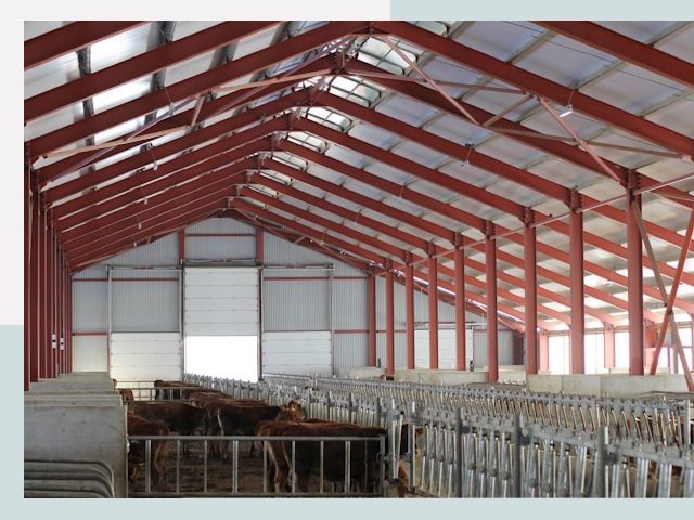 Строительство коровников в Урае