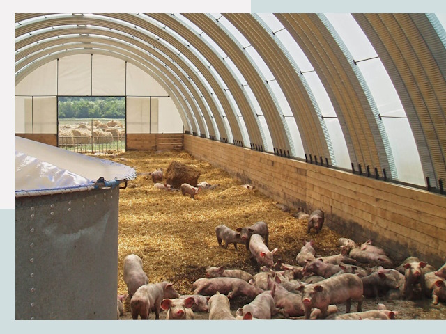 Строительство свинарников в Урае